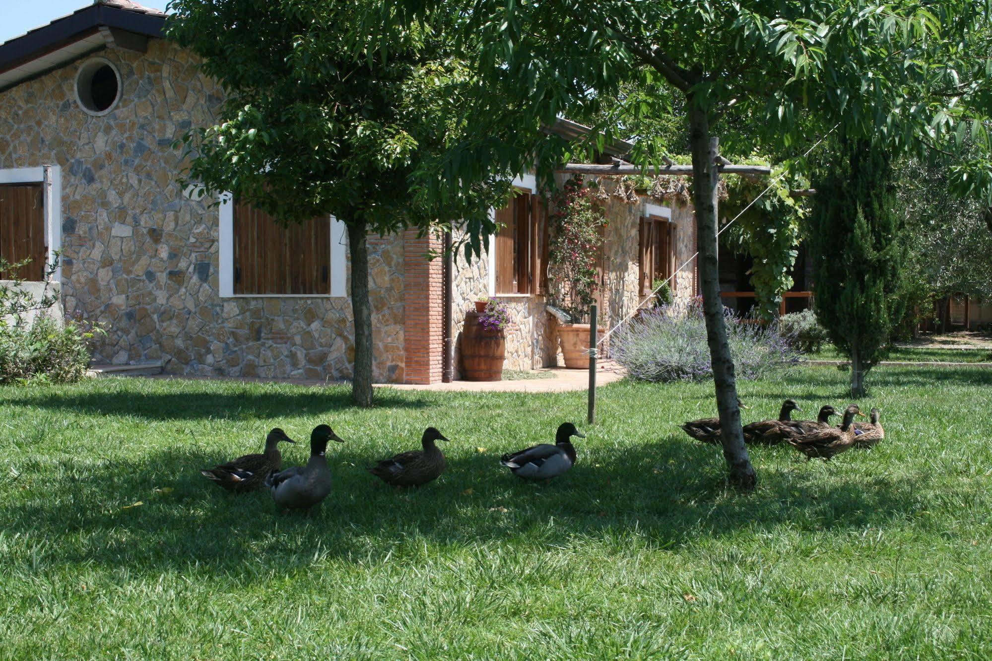 Azienda Agrituristica Vivi Natura Pompei Exterior foto